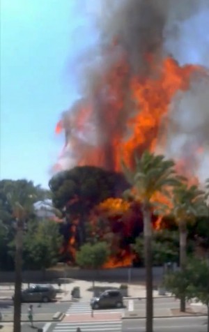 Les flames s'aixecaren amb força (foto: Enric Soler)