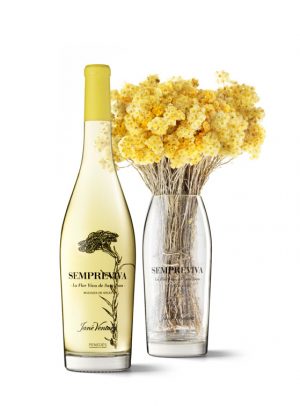 sempreviva_14112016