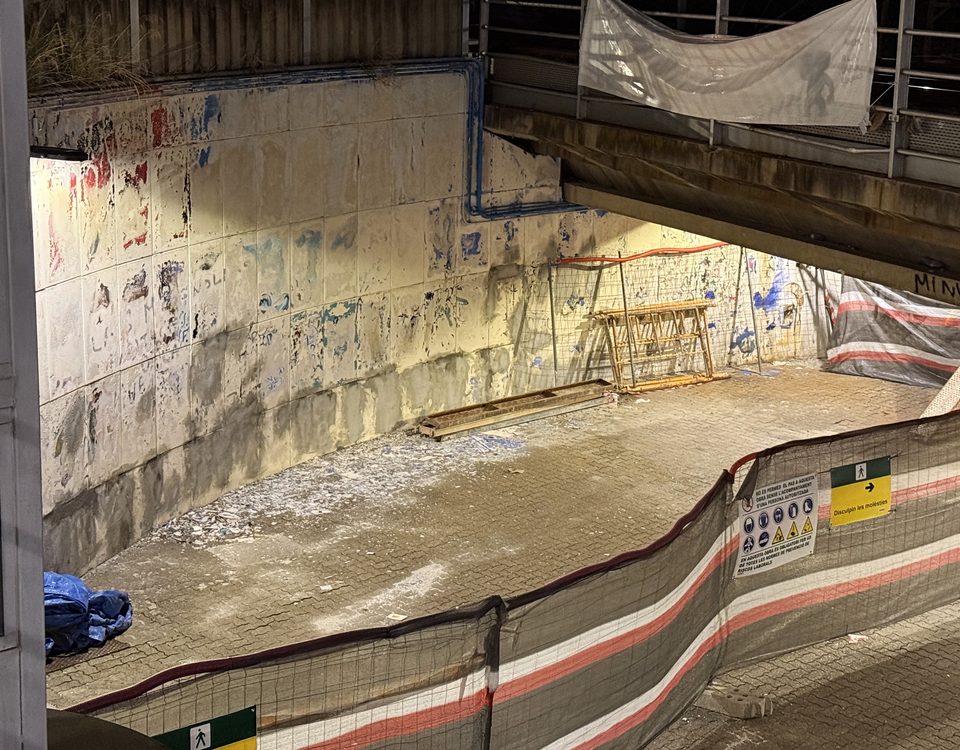 Els murals del pas sota la via tornaran, però el disgust ha estat gran. Òscar Garcia 'Berok' ens ho explica