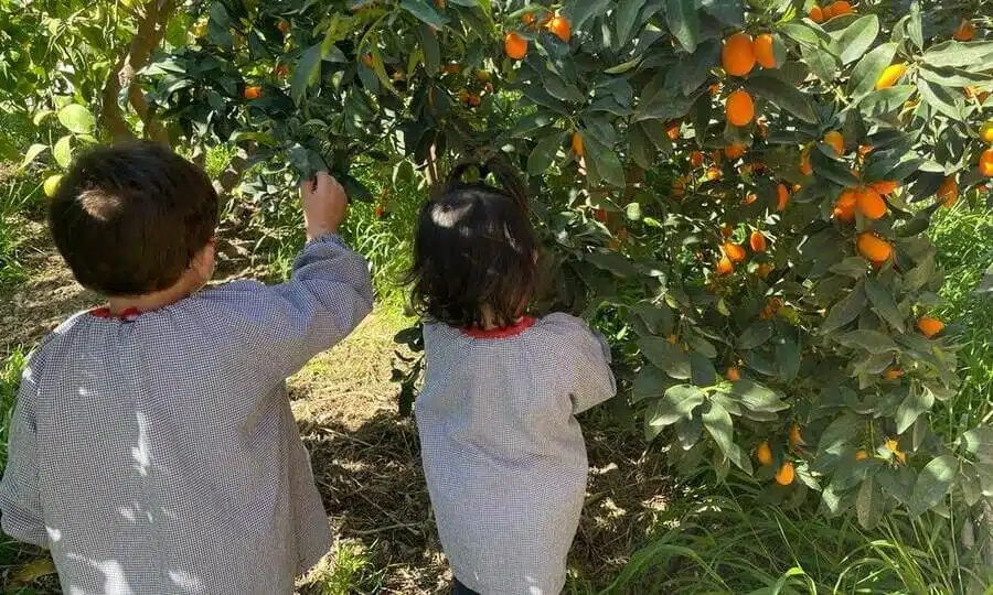 Món Verd: educar en la natura